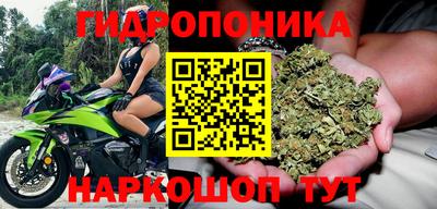 крисы Будённовск