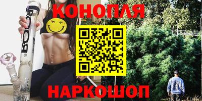 крисы Будённовск
