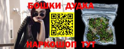 крисы Будённовск