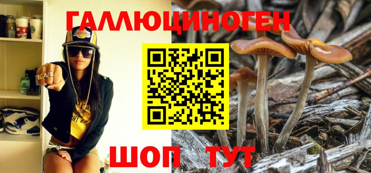Галлюциногенные грибы Psilocybe  Вход с VPN  Сергиев Посад  Галлюциногенные грибы GOLDEN TEACHER 
